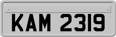 KAM2319