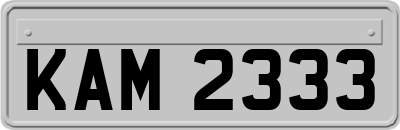 KAM2333