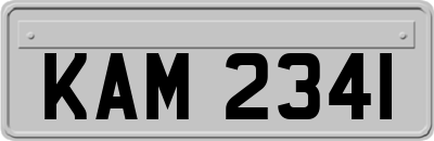 KAM2341