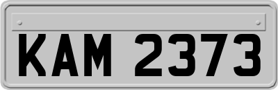 KAM2373