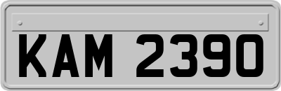 KAM2390