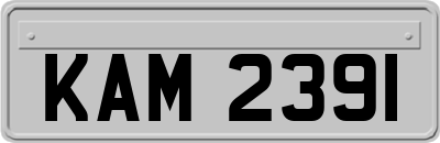 KAM2391