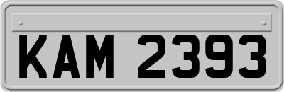 KAM2393