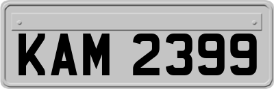 KAM2399