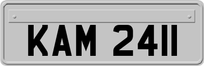 KAM2411