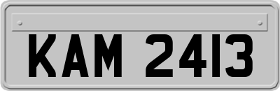KAM2413