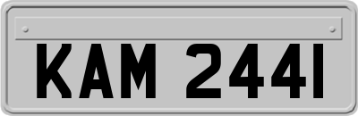 KAM2441