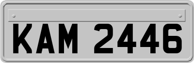 KAM2446