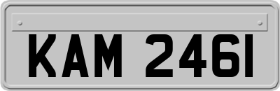 KAM2461