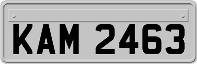 KAM2463