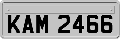KAM2466