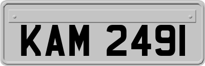 KAM2491