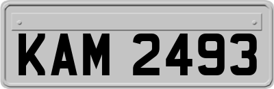 KAM2493