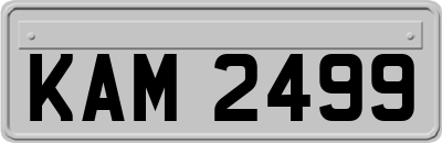 KAM2499