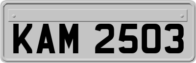 KAM2503