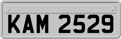 KAM2529