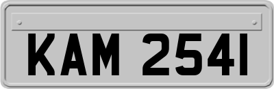 KAM2541