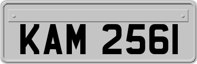 KAM2561