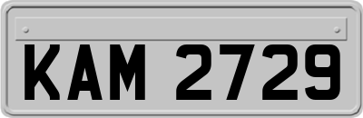 KAM2729