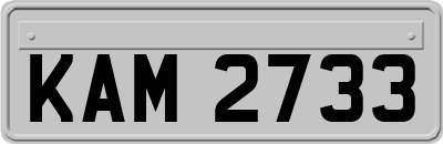 KAM2733