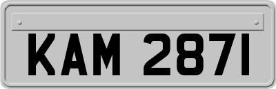 KAM2871