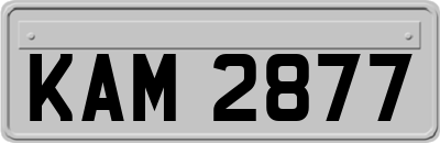 KAM2877
