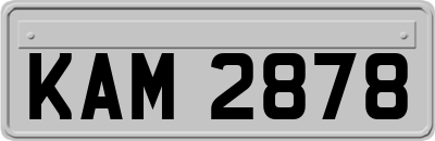 KAM2878