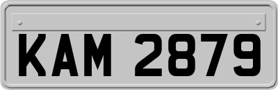 KAM2879