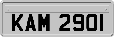 KAM2901