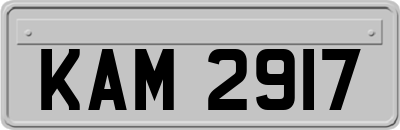 KAM2917
