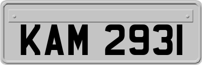 KAM2931