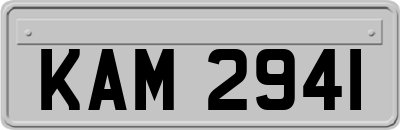KAM2941