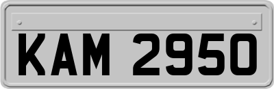 KAM2950