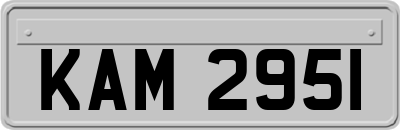 KAM2951