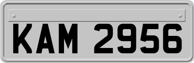 KAM2956