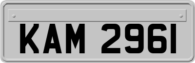 KAM2961
