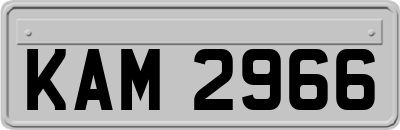 KAM2966