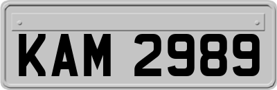 KAM2989