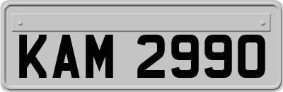 KAM2990