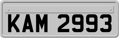 KAM2993