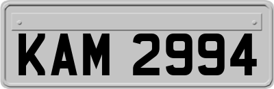 KAM2994