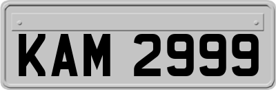 KAM2999