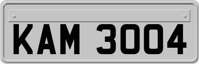 KAM3004
