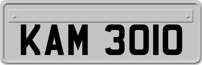 KAM3010