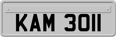 KAM3011