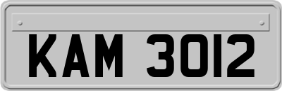 KAM3012