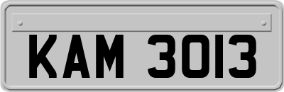 KAM3013