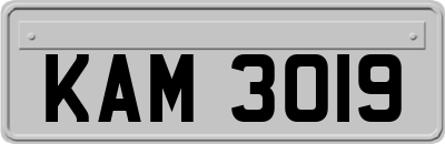 KAM3019