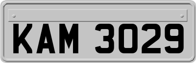 KAM3029