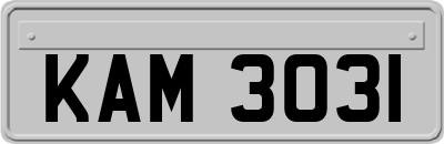 KAM3031